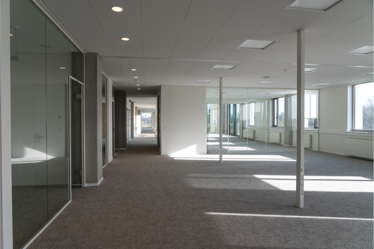 Design sans titre - 2025-09-10T145715.494